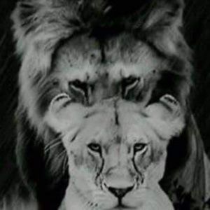 Meet your Posher, Evette